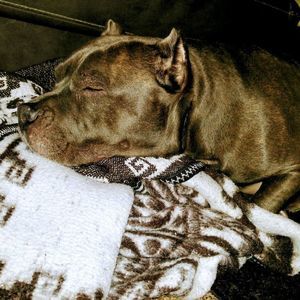 Meet your Posher, Crystela